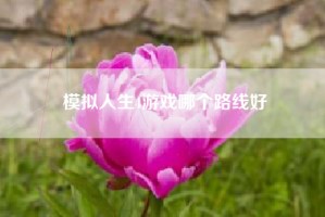 模拟人生4游戏哪个路线好