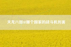 天龙八部SF哪个国家的战斗机厉害