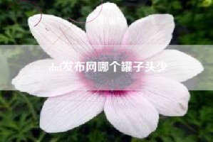 dnf发布网哪个罐子头少