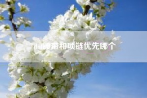 dnf腰带和项链优先哪个