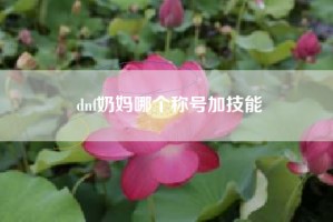 dnf奶妈哪个称号加技能