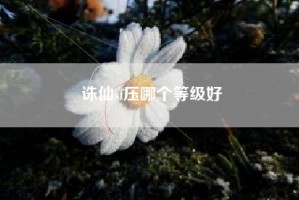 诛仙sf压哪个等级好