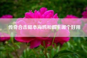传奇合击脚本海鸥和霸主哪个好用