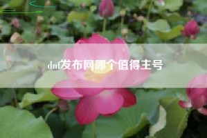 dnf发布网哪个值得主号