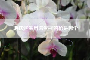 地铁逃生用燃气瓶的枪是哪个