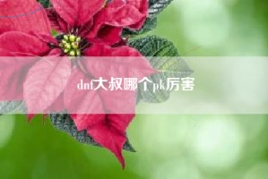 dnf大叔哪个pk厉害