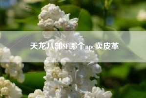 天龙八部SF哪个npc卖皮革