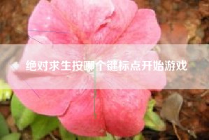 绝对求生按哪个键标点开始游戏