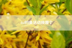 dnf钓鱼活动换哪个