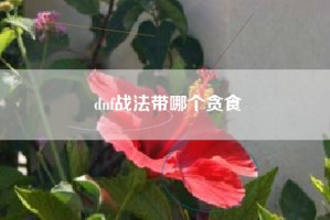 dnf战法带哪个贪食