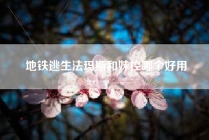 地铁逃生法玛斯和妹控哪个好用