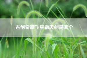 古剑奇谭飞星霜天剑是哪个