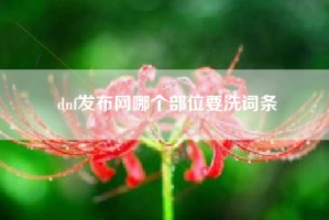 dnf发布网哪个部位要洗词条