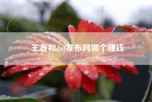 王者和dnf发布网哪个赚钱