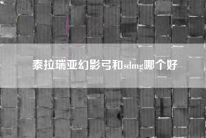 泰拉瑞亚幻影弓和sdmg哪个好