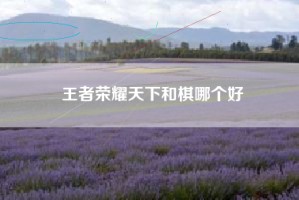 王者荣耀天下和棋哪个好