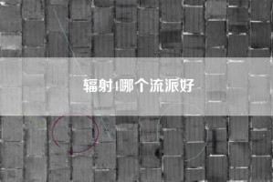 辐射4哪个流派好