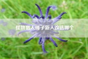 怪物猎人锤子新人改选哪个