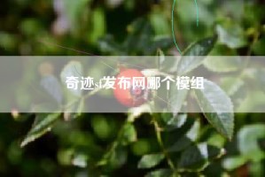 奇迹sf发布网哪个模组