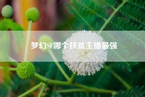 梦幻SF哪个扶贫主播最强