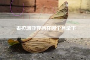 泰拉瑞亚存档在哪个目录下