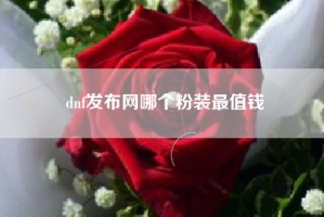 dnf发布网哪个粉装最值钱