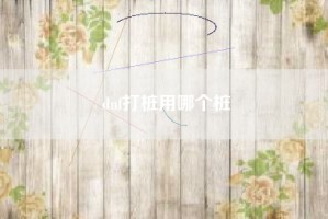 dnf打桩用哪个桩