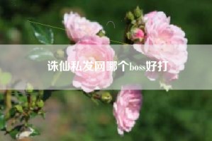 诛仙私发网哪个boss好打