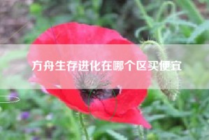 方舟生存进化在哪个区买便宜