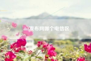 dnf发布网哪个电信区