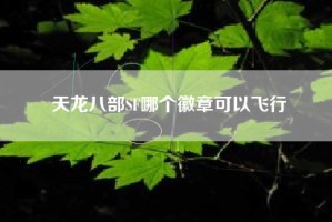 天龙八部SF哪个徽章可以飞行