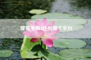 魔兽争霸3还有哪个平台