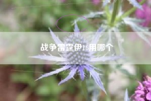 战争雷霆伊16用哪个
