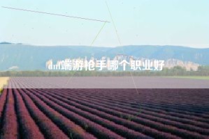 dnf端游枪手哪个职业好