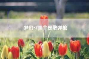 梦幻SF哪个是散弹枪