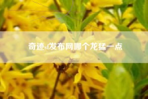 奇迹sf发布网哪个龙猛一点