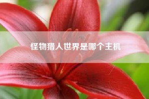 怪物猎人世界是哪个主机