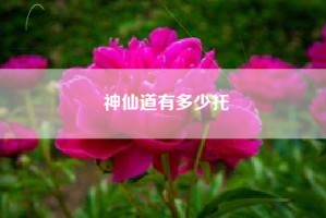 神仙道有多少托
