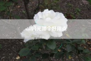 dnf闪光哪个好用点