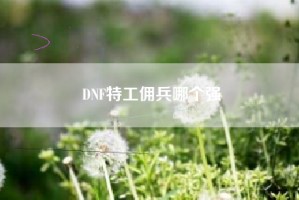 DNF特工佣兵哪个强