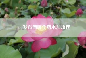 dnf发布网哪个药水加攻速