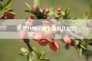 天龙八部SF哪个联机比较好