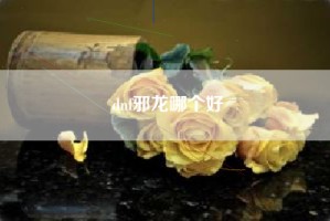dnf邪龙哪个好