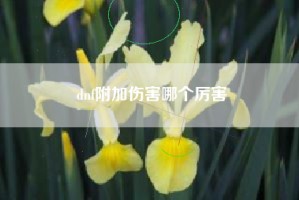 dnf附加伤害哪个厉害