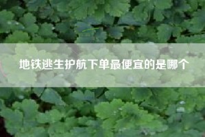 地铁逃生护航下单最便宜的是哪个