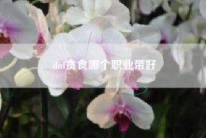 dnf贪食哪个职业带好