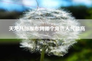天龙八部发布网哪个角色人气最高