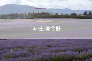 dnf主c哪个好