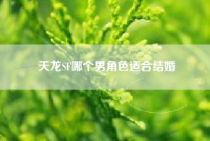 天龙SF哪个男角色适合结婚