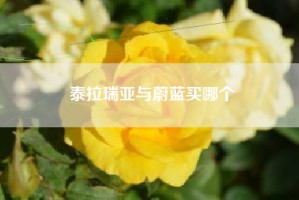 泰拉瑞亚与蔚蓝买哪个